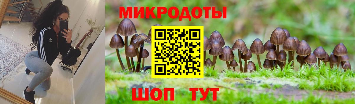Галлюциногенные грибы Magic Shrooms Рязань
